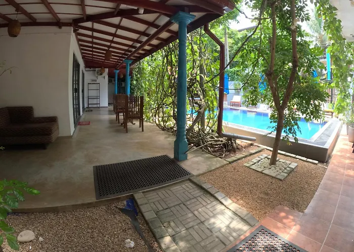 Mirissa Blue Whale Holiday Hotel